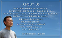 【10ヶ月定期便】&nbsp;定期便&nbsp;お楽しみ&nbsp;毎月届く《かながわブランド認定》&nbsp;平飼い有精卵&nbsp;さがみっこ&nbsp;30個（10個×3パック）×10ヶ月｜&nbsp;神奈川県&nbsp;相模原市&nbsp;たまご&nbsp;卵&nbsp;鶏卵&nbsp;玉子&nbsp;生卵&nbsp;平飼い&nbsp;ケージフリー&nbsp;有精卵&nbsp;国産&nbsp;濃厚&nbsp;コク&nbsp;旨味&nbsp;卵焼き&nbsp;たまごかけご飯&nbsp;朝食&nbsp;究極の卵&nbsp;ブランド卵&nbsp;たまご&nbsp;アニマルウェルフェア&nbsp;&nbsp;AAランク&nbsp;健康&nbsp;※離島への配送不可