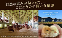 【7ヶ月定期便】定期便&nbsp;お楽しみ&nbsp;毎月届く《かながわブランド認定》平飼い有精卵さがみっこ&nbsp;30個（10個×3パック）×7ヶ月｜神奈川県相模原市産&nbsp;たまご&nbsp;卵&nbsp;鶏卵&nbsp;玉子&nbsp;たまご&nbsp;生卵&nbsp;平飼い&nbsp;ケージフリー&nbsp;有精卵&nbsp;国産&nbsp;濃厚&nbsp;旨味&nbsp;卵焼き&nbsp;たまごかけご飯&nbsp;朝食&nbsp;&nbsp;※離島への配送不可&nbsp;[11042-30067061]