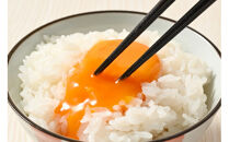 【9ヶ月定期便】料理人も「うまい！」と絶賛&nbsp;昔の味たまご&nbsp;20個入り（18個＋割れ補償2個）×9か月|&nbsp;卵&nbsp;鶏卵&nbsp;玉子&nbsp;たまご&nbsp;生卵&nbsp;国産&nbsp;濃厚&nbsp;コク&nbsp;卵かけご飯&nbsp;旨味&nbsp;旨み※着日指定不可