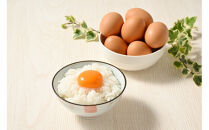 【9ヶ月定期便】料理人も「うまい！」と絶賛&nbsp;昔の味たまご&nbsp;20個入り（18個＋割れ補償2個）×9か月|&nbsp;卵&nbsp;鶏卵&nbsp;玉子&nbsp;たまご&nbsp;生卵&nbsp;国産&nbsp;濃厚&nbsp;コク&nbsp;卵かけご飯&nbsp;旨味&nbsp;旨み※着日指定不可