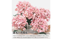 アーティフィシャルフラワー&nbsp;紫陽花&nbsp;大輪&nbsp;5本立ち&nbsp;ピンク&nbsp;SC触媒加工済