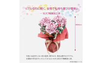アーティフィシャルフラワー&nbsp;紫陽花&nbsp;大輪&nbsp;3本立ち&nbsp;パープル&nbsp;SC触媒加工済