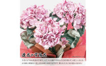 アーティフィシャルフラワー&nbsp;紫陽花&nbsp;大輪&nbsp;3本立ち&nbsp;パープル&nbsp;SC触媒加工済