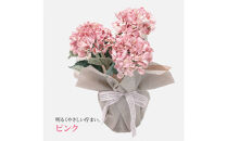 アーティフィシャルフラワー&nbsp;紫陽花&nbsp;大輪&nbsp;3本立ち&nbsp;ピンク&nbsp;SC触媒加工済