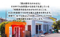 【6ヶ月定期便】【毎月前半発送】相模原市田名のおがわのたまご　ピンク卵&nbsp;Mサイズ&nbsp;30個(27個＋割れ補償3個)×6か月