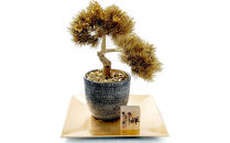 金箔盆栽&nbsp;禅&nbsp;人工観葉植物&nbsp;フェイクグリーン