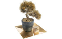 金箔盆栽&nbsp;禅&nbsp;人工観葉植物&nbsp;フェイクグリーン