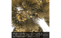 金箔盆栽&nbsp;禅&nbsp;人工観葉植物&nbsp;フェイクグリーン