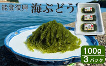 【能登復興応援】海ぶどう100g×3パック詰め合わせセット
