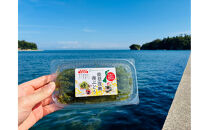 【能登復興応援】海ぶどう100g×3パック詰め合わせセット