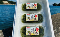 【能登復興応援】海ぶどう100g×3パック詰め合わせセット