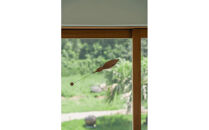 【Bubinga（ブビンガ）：あか茶】【銘木再生】幸運を運ぶ木製オブジェliving_bird&nbsp;海鳥