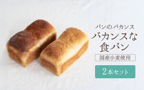パンのバカンス バカンスな食パン2本セット