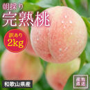 訳あり&nbsp;森本農園の手選別&nbsp;桃&nbsp;2kg