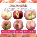 訳あり&nbsp;森本農園の手選別&nbsp;桃&nbsp;2kg