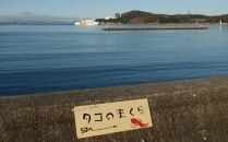 クラフトコーラ&nbsp;島の梅とレモンのタコーラ&nbsp;2本(1本7～8杯分)【ポイント交換専用】