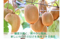 香緑&nbsp;キウイフルーツ&nbsp;3kg(化粧箱)