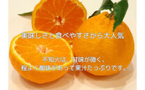 ハウス不知火&nbsp;2.7kg