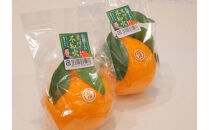 ハウス不知火&nbsp;2.7kg