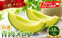 特選メロン約1.6kg×1玉【&nbsp;メロン&nbsp;果物&nbsp;くだもの&nbsp;フルーツ&nbsp;メロン&nbsp;青肉&nbsp;青肉メロン&nbsp;めろん&nbsp;meron&nbsp;melon&nbsp;MELON&nbsp;国産&nbsp;デザート&nbsp;産地直送&nbsp;旬&nbsp;お取り寄せ&nbsp;甘い&nbsp;】