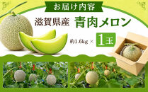 特選メロン約1.6kg×1玉【&nbsp;メロン&nbsp;果物&nbsp;くだもの&nbsp;フルーツ&nbsp;メロン&nbsp;青肉&nbsp;青肉メロン&nbsp;めろん&nbsp;meron&nbsp;melon&nbsp;MELON&nbsp;国産&nbsp;デザート&nbsp;産地直送&nbsp;旬&nbsp;お取り寄せ&nbsp;甘い&nbsp;】
