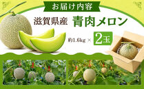 特選メロン約1.6kg×2玉【&nbsp;メロン&nbsp;果物&nbsp;くだもの&nbsp;フルーツ&nbsp;メロン&nbsp;青肉&nbsp;青肉メロン&nbsp;めろん&nbsp;meron&nbsp;melon&nbsp;MELON&nbsp;国産&nbsp;デザート&nbsp;産地直送&nbsp;旬&nbsp;お取り寄せ&nbsp;甘い&nbsp;】