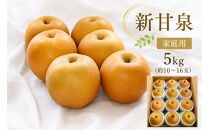 【2026年度先行予約】数量限定　鳥取県産　新甘泉&nbsp;家庭用&nbsp;5kg(約10〜16玉)【8月20日以降発送】