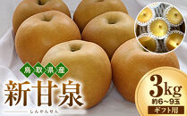 おすすめ [2026年度先行予約]数量限定 鳥取県産 新甘泉 ギフト用 秀品 3kg(約6〜9玉)[8月20日以降発送]