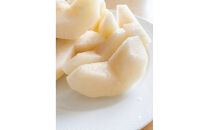 【2026年度先行予約】数量限定　鳥取県産　新甘泉&nbsp;家庭用&nbsp;3kg(約6〜9玉)【8月20日以降発送】
