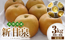 おすすめ [2026年度先行予約]数量限定 鳥取県産 新甘泉 家庭用 3kg(約6〜9玉)[8月20日以降発送]