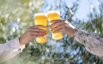 クラフトビール　キウイ（oeuf)３本セット