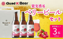 クラフトビール　LUSH&nbsp;BERRY３本セット
