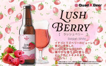 クラフトビール　LUSH&nbsp;BERRY３本セット