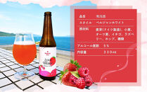 クラフトビール　LUSH&nbsp;BERRY３本セット