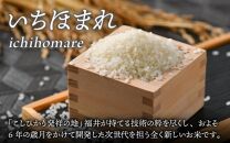 【令和6年産 新米】定期便3回 いちほまれ 無洗米 5kg×3回（15kg）《お米マイスターが発送直前に精米！》／ 福井県産 ブランド米 ご飯 白米 新鮮