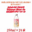 JAわかやま&nbsp;生姜丸しぼり&nbsp;Wakayama&nbsp;Ginger&nbsp;Ale　和歌山ジンジャーエール&nbsp;250ml×24本