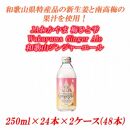 JAわかやま&nbsp;生姜丸しぼり&nbsp;Wakayama&nbsp;Ginger&nbsp;Ale　和歌山ジンジャーエール&nbsp;250ml×24本×2ケース(48本入)