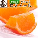 ＜4月より発送＞家庭用 セミノールオレンジ4.5kg+135g（傷み補償分）【有田の春みかん】【有田産】【光センサー食べ頃出荷】【わけあり・訳あり】