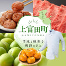 家庭用&nbsp;冷凍梅&nbsp;約1kg&nbsp;紀州&nbsp;南高梅&nbsp;青梅&nbsp;黄梅&nbsp;完熟梅&nbsp;訳あり［IKE331］