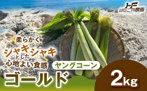 ［食卓を彩る希少な季節野菜］潮風ベイビー&nbsp;2kg&nbsp;ヤングコーン&nbsp;ゴールド&nbsp;ベビーコーン&nbsp;グリル&nbsp;付け合わせ野菜&nbsp;BBQ&nbsp;焼き野菜&nbsp;和歌山県&nbsp;白浜町