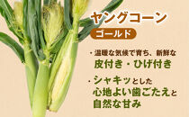 ［食卓を彩る希少な季節野菜］潮風ベイビー&nbsp;4.5kg&nbsp;ヤングコーン&nbsp;ゴールド&nbsp;ベビーコーン&nbsp;グリル&nbsp;付け合わせ野菜&nbsp;BBQ&nbsp;焼き野菜&nbsp;和歌山県&nbsp;白浜町