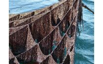 四国・瀬戸内海を感じられるご飯のお供セット