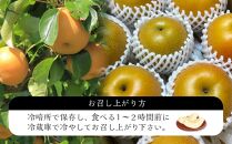 【定期便&nbsp;全3回／2027年8～10月発送】＜旬の梨おまかせ5kg・6-14玉＞×3回（自家製有機肥料・減農薬・化学肥料無使用）【ポイント交換専用】