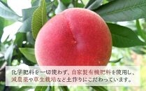 【定期便&nbsp;全2回／2027年8・9月発送】＜旬の桃おまかせ約2kg・6～9玉＞×2回（自家製有機肥料・減農薬・化学肥料無使用）【ポイント交換専用】