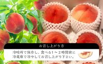 【定期便&nbsp;全2回／2027年8・9月発送】＜旬の桃おまかせ約2kg・6～9玉＞×2回（自家製有機肥料・減農薬・化学肥料無使用）【ポイント交換専用】