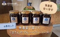 【お歳暮】【湯布院&nbsp;熊谷牧場・雛戸】無農薬で育てたくまさんのブルーベリーソース&nbsp;4本セット【ポイント交換専用】