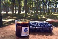 【お歳暮】【湯布院&nbsp;熊谷牧場・雛戸】無農薬で育てたくまさんのブルーベリーソース&nbsp;4本セット【ポイント交換専用】
