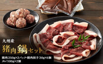 九州産猪肉鍋セット【ポイント交換専用】