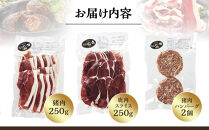 九州産ジビエ猪肉250g・鹿肉スライス250g＆猪肉ハンバーグ２個のセット【ポイント交換専用】