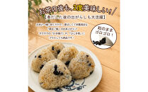 遊月亭の粒まるごと黒豆茶お徳用（２４０包）